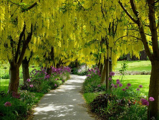 Beelden in de VanDusen Botanical Garden